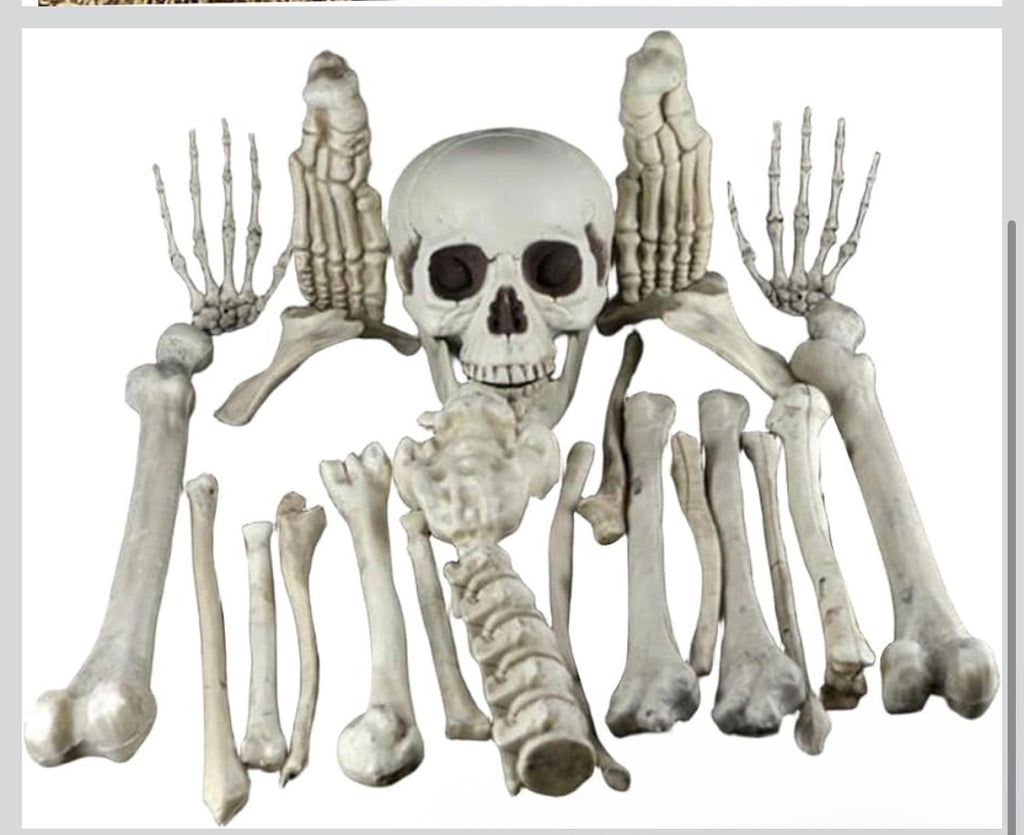 Realistiskt Skelettben-Set för Halloween – 19 Delar
