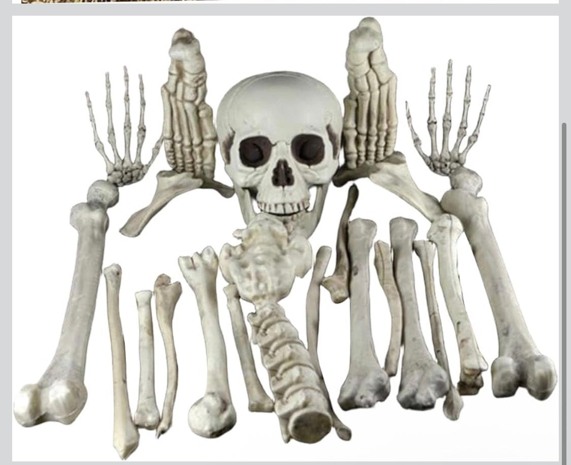 Realistiskt Skelettben-Set för Halloween – 19 Delar