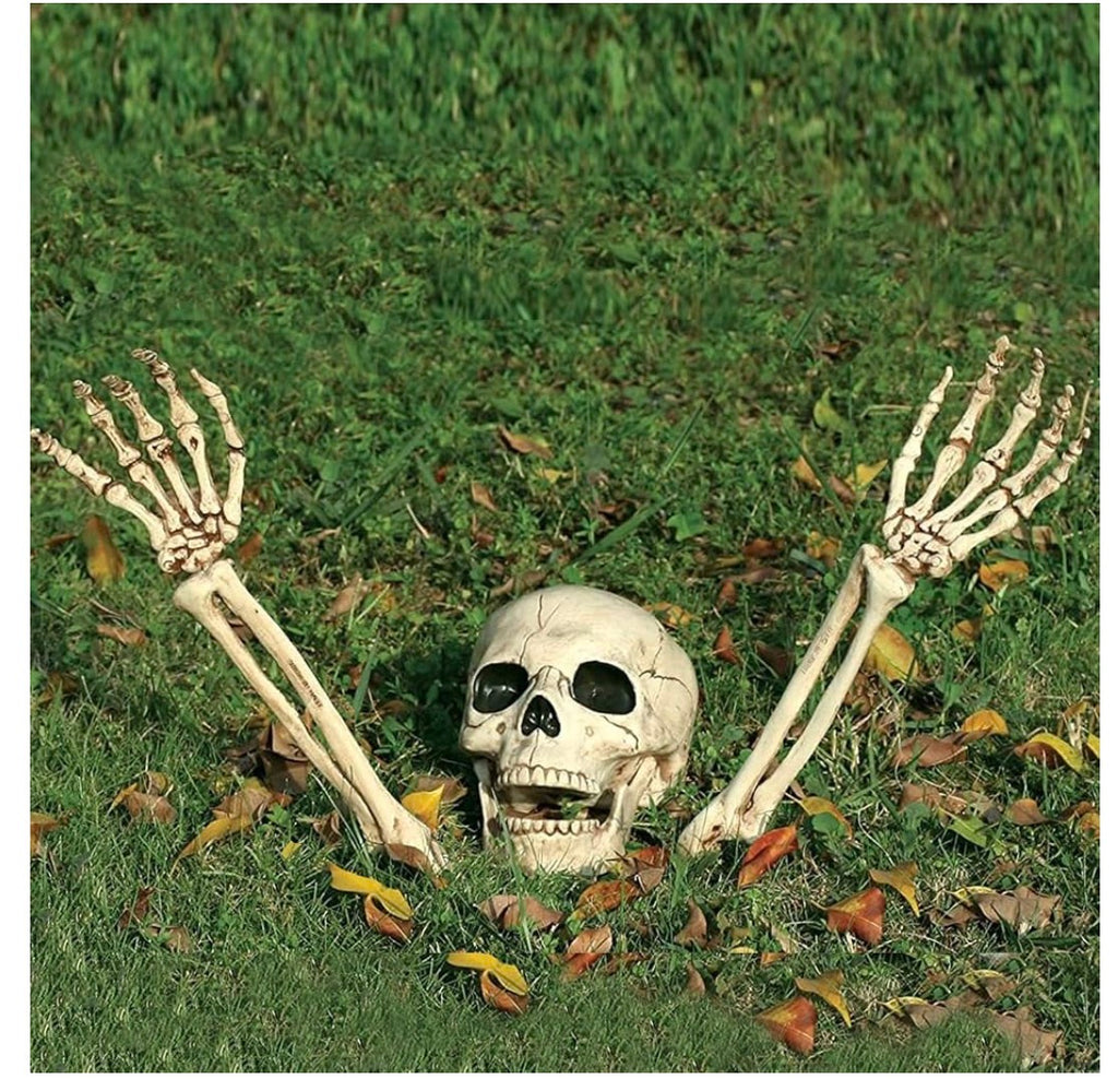 Halloween Skelett-Set för Trädgård & Gräsmatta (1 Dödskalle + 2 Skelettarmar)