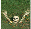 Halloween Skelett-Set för Trädgård & Gräsmatta (1 Dödskalle + 2 Skelettarmar)