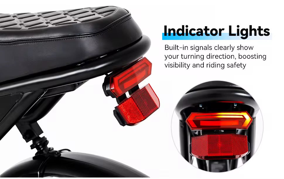 V8 Max Electric Bike – 250W Motor, 48V Battery, 20” Fat Tire